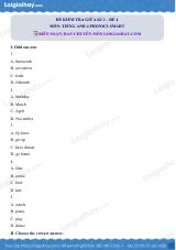 Đề thi giữa kì 2 Tiếng Anh 4 Phonics Smart - Đề số 4